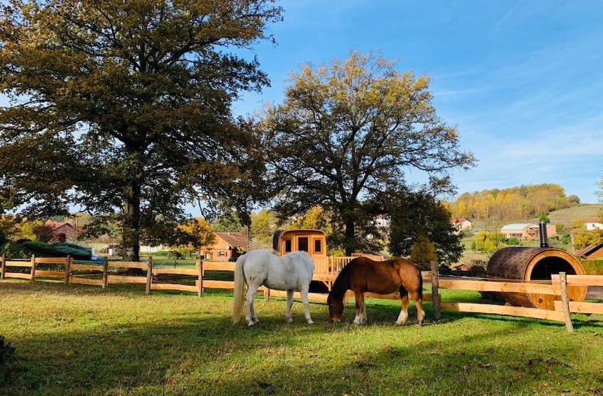 hotel insolite Ma Roulotte sous les Chênes la passionnée vosges