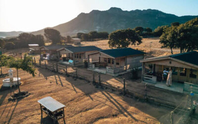 Les chalets du Haras de Tesa hébergement insolite en Corse